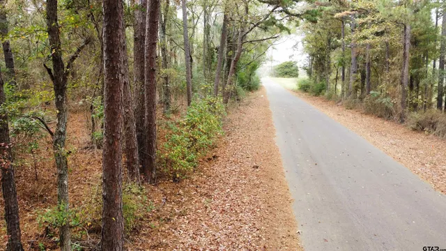 a view of a pathway both side of yard