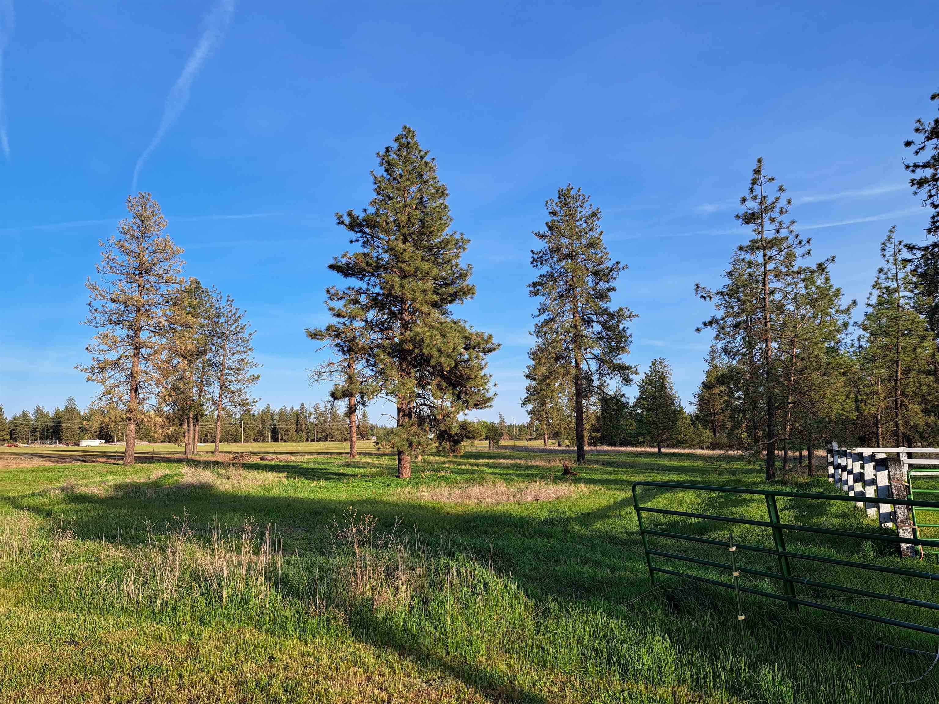 14313 Highway 904 Cheney, WA 99004 - Photo 39 of 49