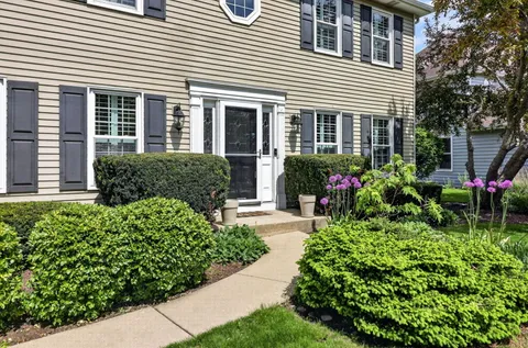 a view of a house with potted plants