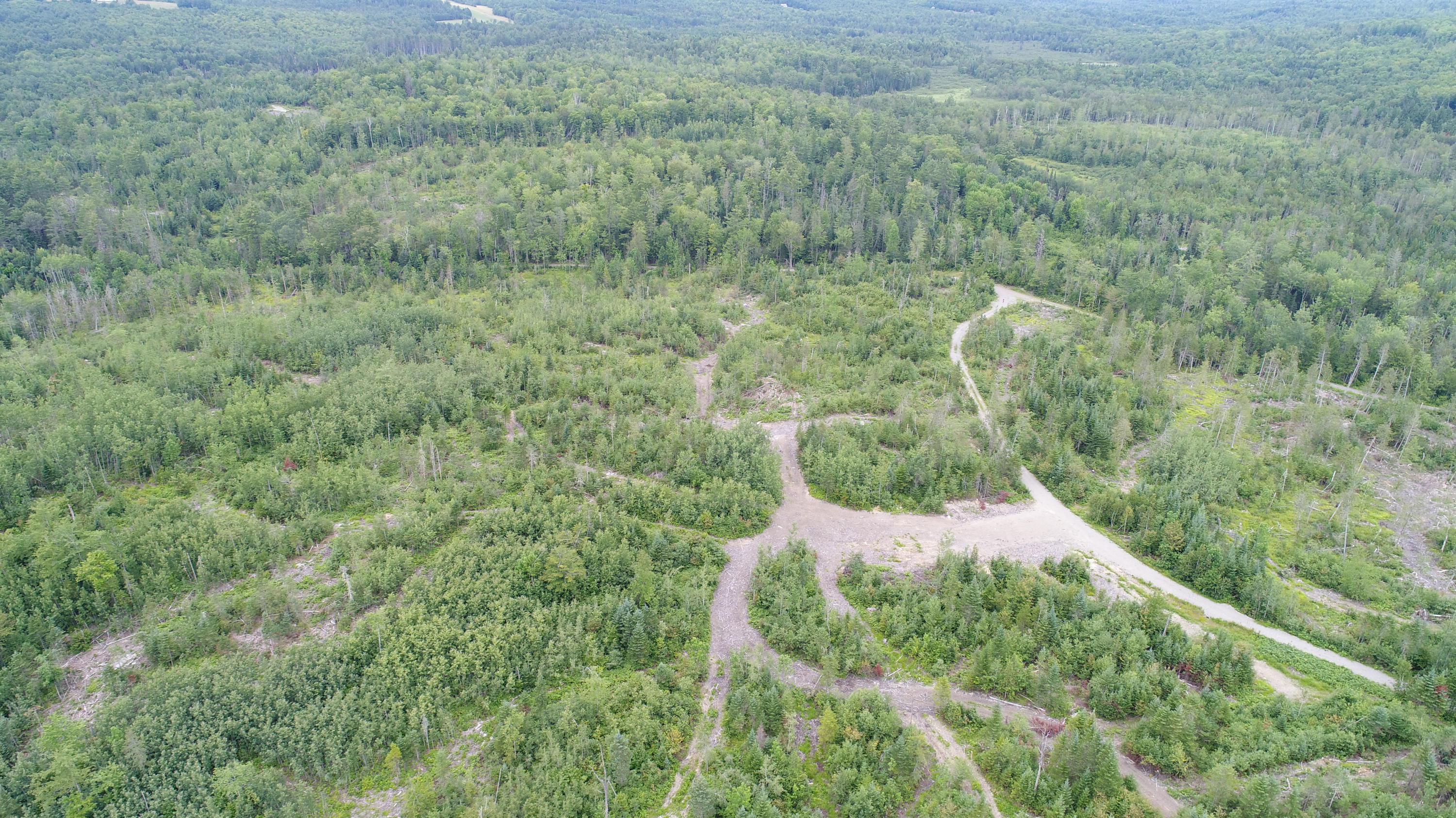 Tbd McCarty Road Solon, ME 04979 - Photo 8 of 17 DJI_0110