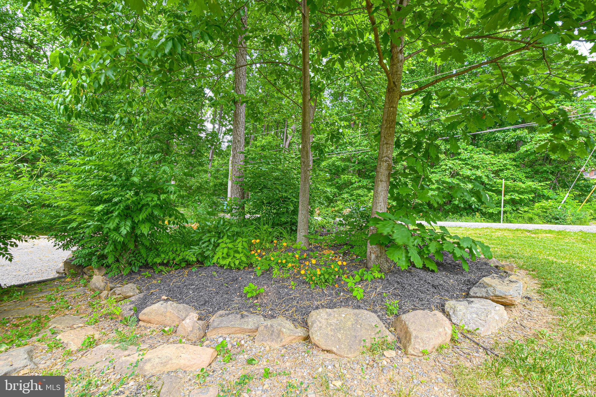 1035 Old Linden Road Linden, VA 22642 - Photo 8 of 55 Gallery Image 8