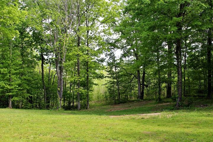 71 M M Whalen Road Roundhill, KY 42275 - Photo 20 of 23 Gallery Image 20