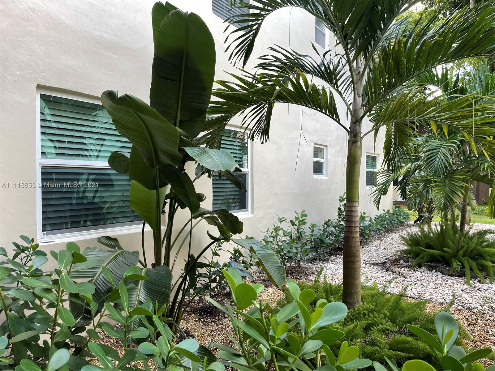 Kings Point Piedmont Delray Beach, FL 33484 - Photo 5 of 22 a view of a plant in a garden