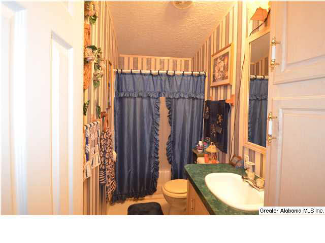 158 Neely Road Gardendale, AL 35071 - Photo 7 of 15
