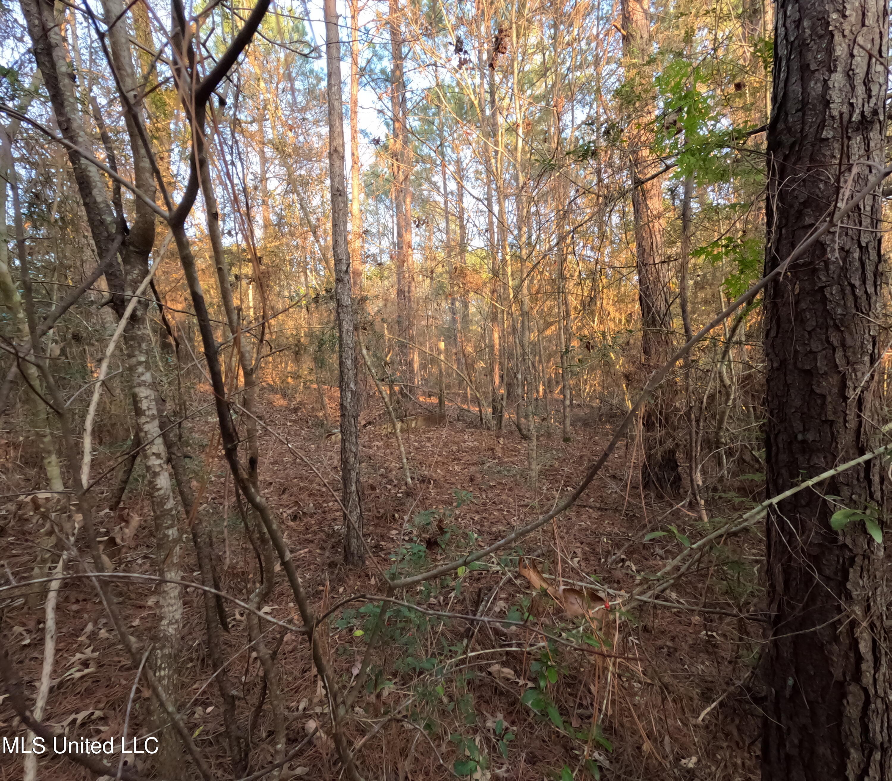 South County Line Road Columbia, MS 39429 - Photo 23 of 44 GOPR0747