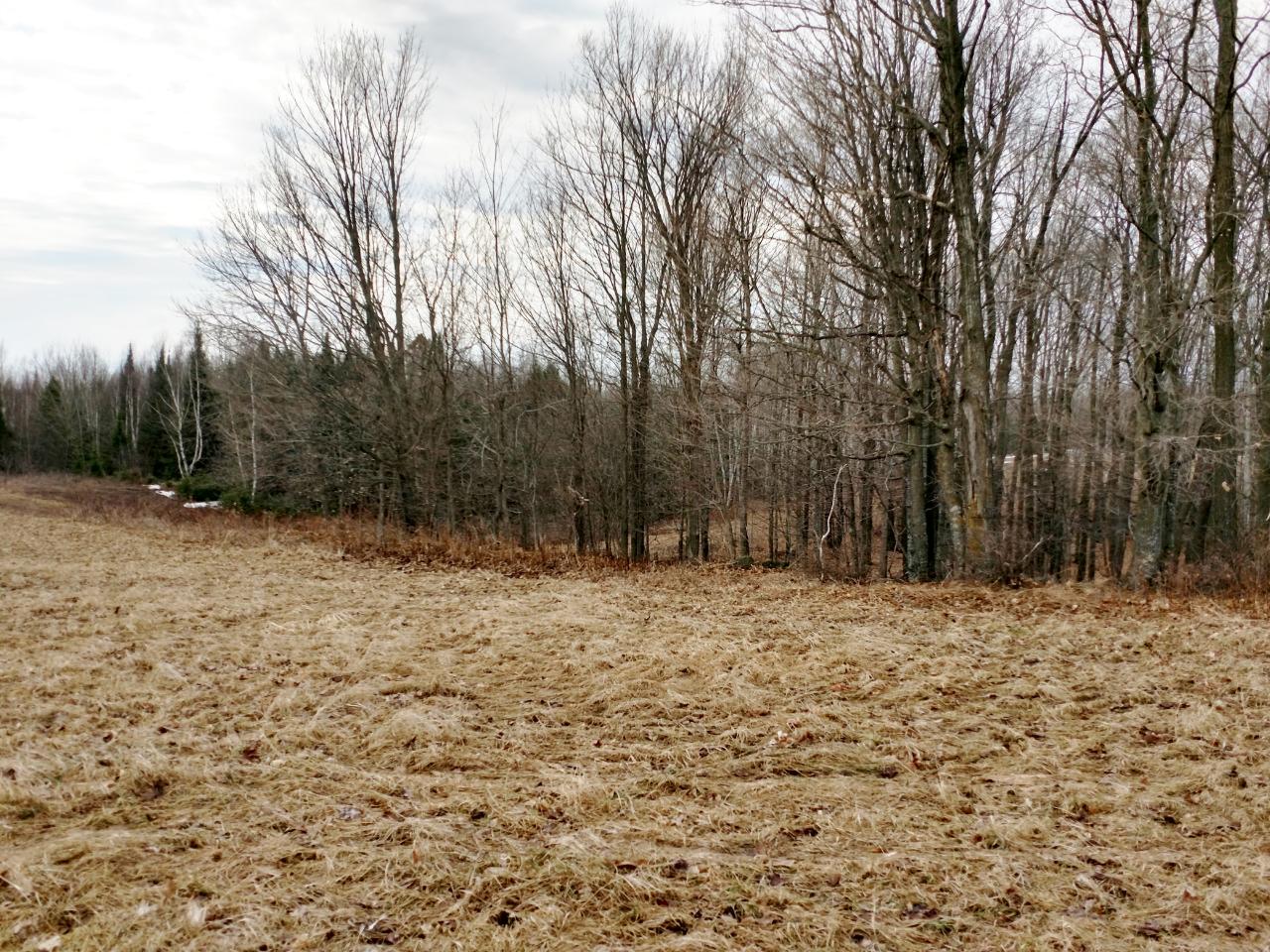 W3598 Nyberg-Hill Road Prentice, WI 54556 - Photo 15 of 24 Gallery Image 15