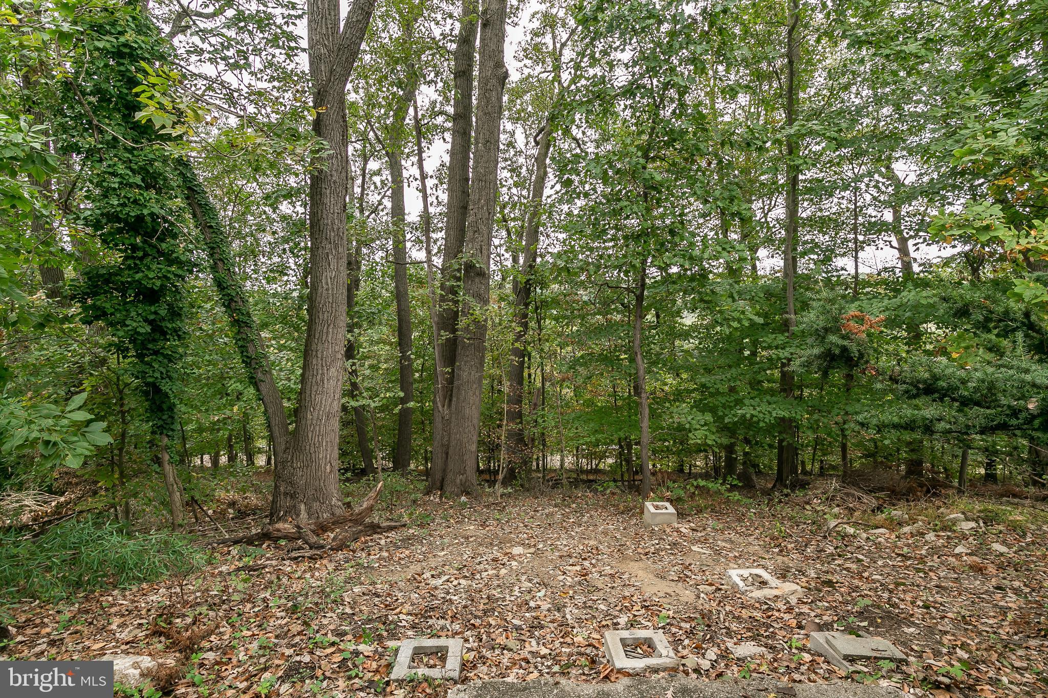 1910 Haverhill Road Baltimore, MD 21234 - Photo 50 of 53 Gallery Image 50