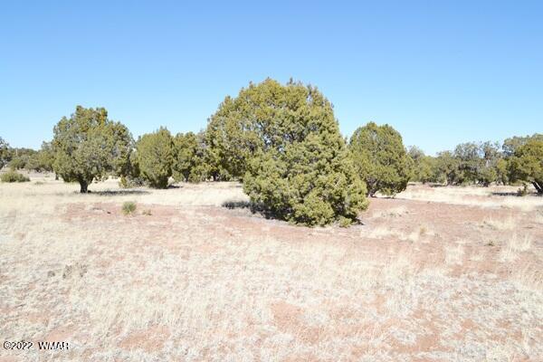 Tbd H Tbd H Turkey Lake Road Show Low, AZ 85901 - Photo 12 of 18