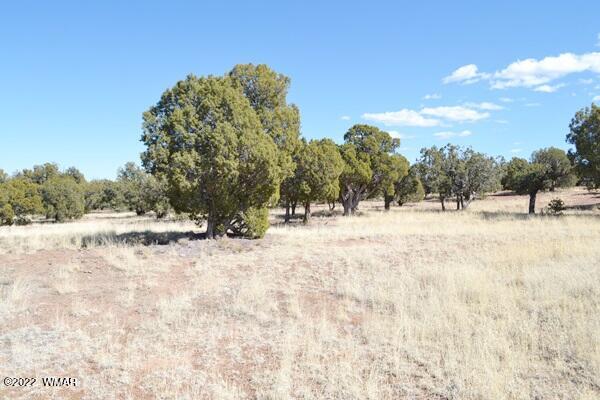 Tbd H Tbd H Turkey Lake Road Show Low, AZ 85901 - Photo 13 of 18