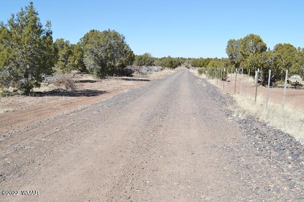 Tbd H Tbd H Turkey Lake Road Show Low, AZ 85901 - Photo 2 of 18