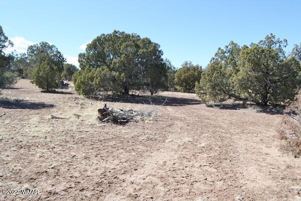 Tbd H Tbd H Turkey Lake Road Show Low, AZ 85901 - Photo 3 of 18