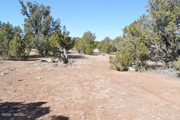 Tbd H Tbd H Turkey Lake Road Show Low, AZ 85901 - Photo 5 of 18