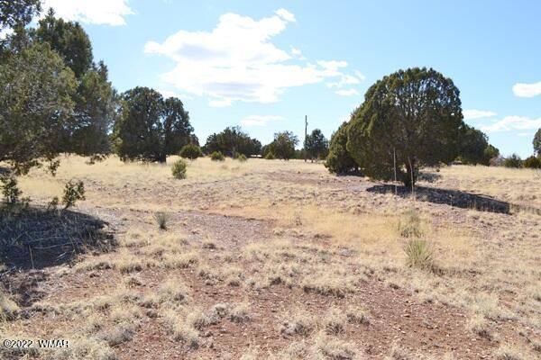 Tbd H Tbd H Turkey Lake Road Show Low, AZ 85901 - Photo 10 of 18
