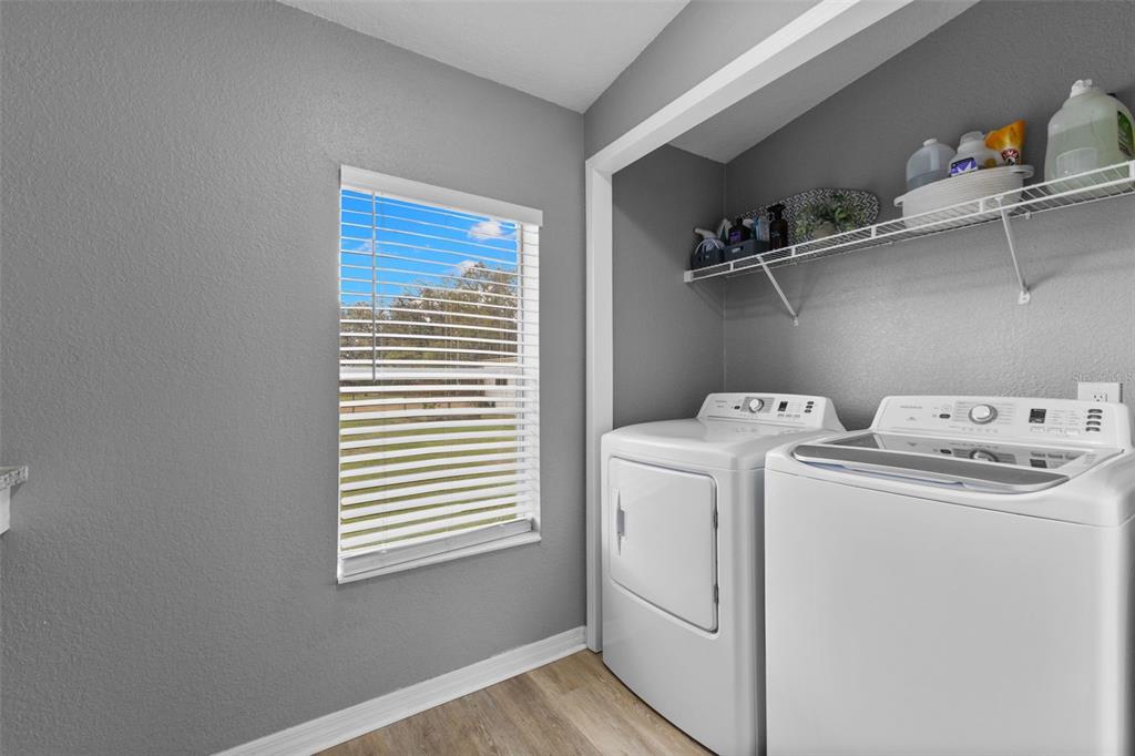 4115 Ryals Road Zephyrhills, FL 33541 - Photo 21 of 53