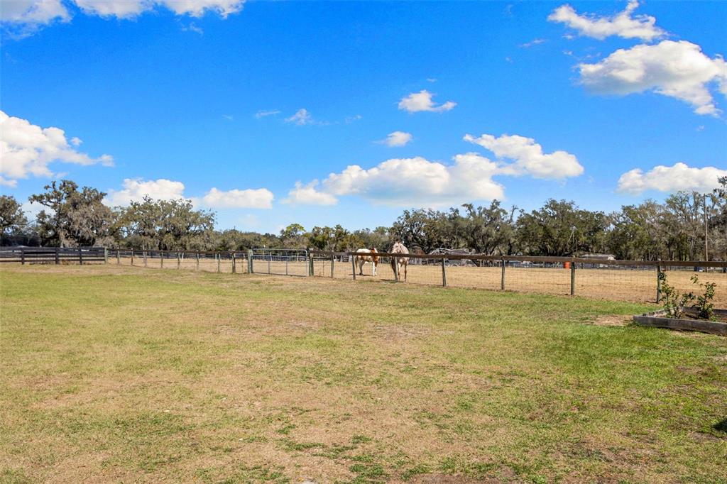 4115 Ryals Road Zephyrhills, FL 33541 - Photo 28 of 53