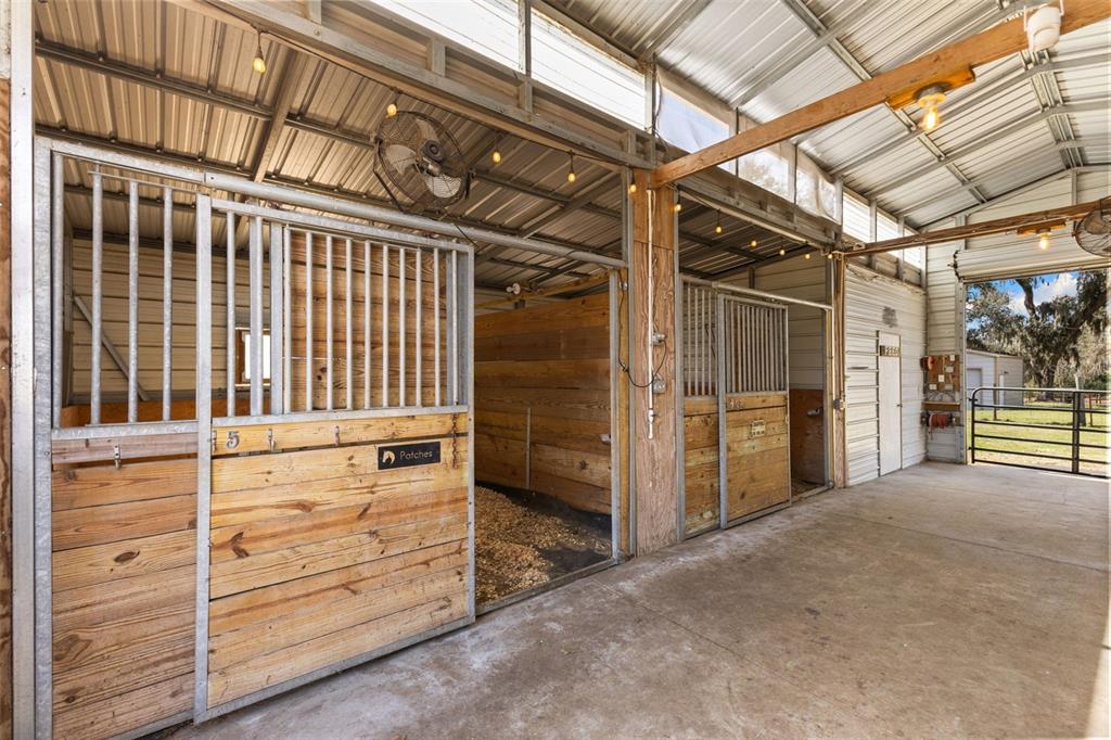 4115 Ryals Road Zephyrhills, FL 33541 - Photo 35 of 53