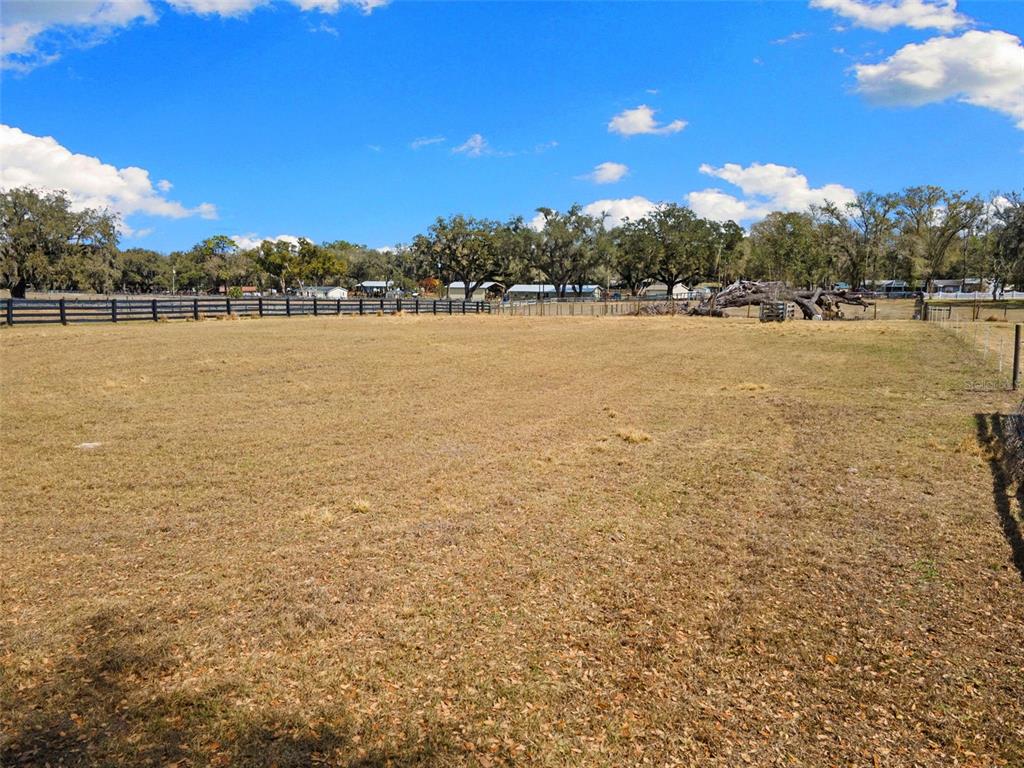 4115 Ryals Road Zephyrhills, FL 33541 - Photo 38 of 53