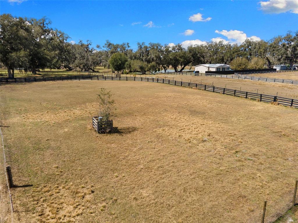 4115 Ryals Road Zephyrhills, FL 33541 - Photo 40 of 53