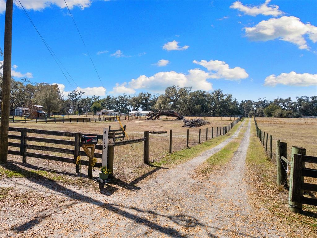 4115 Ryals Road Zephyrhills, FL 33541 - Photo 42 of 53