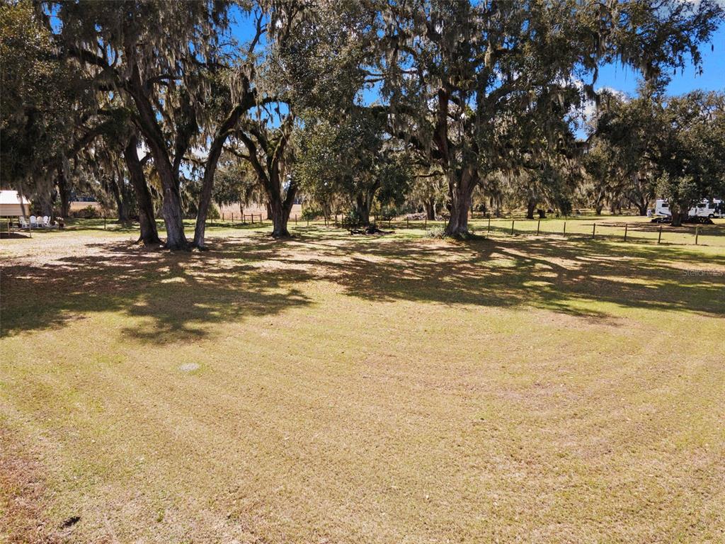 4115 Ryals Road Zephyrhills, FL 33541 - Photo 44 of 53