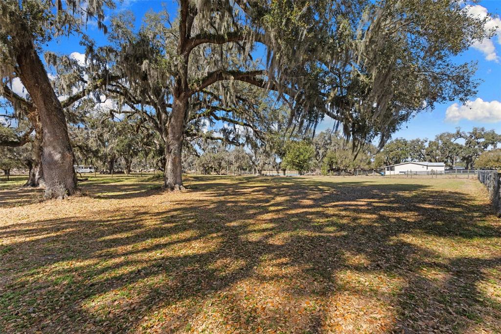 4115 Ryals Road Zephyrhills, FL 33541 - Photo 50 of 53