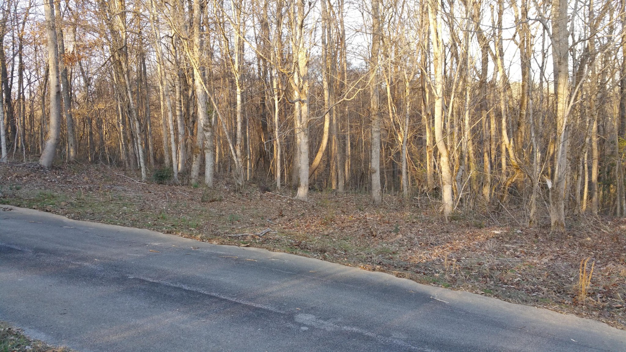 20 West Emory Road Knoxville, TN 37931 - Photo 1 of 1 Gallery Image 1