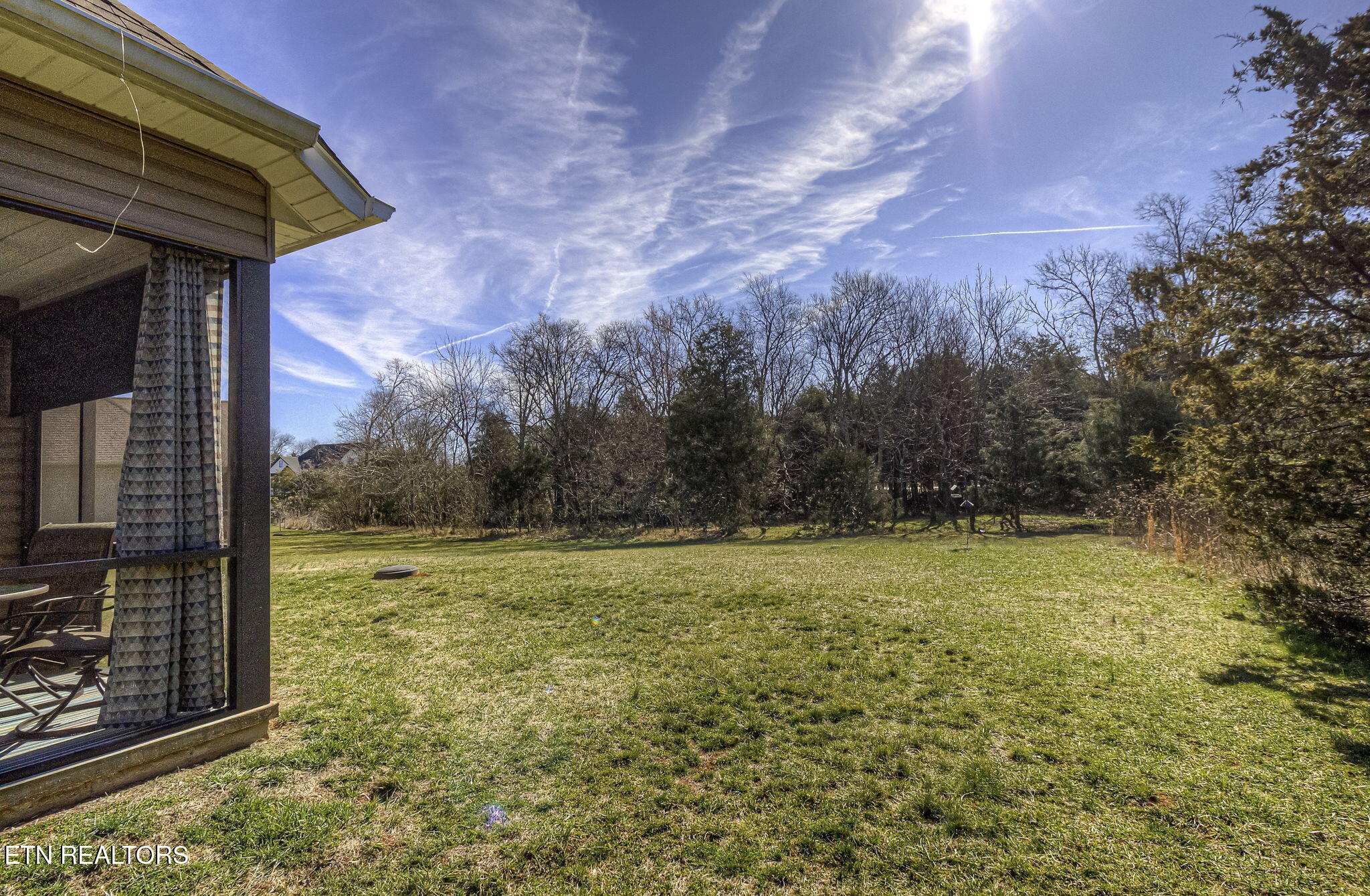 116 Itawa Trail Vonore, TN 37885 - Photo 29 of 33 Back Yard