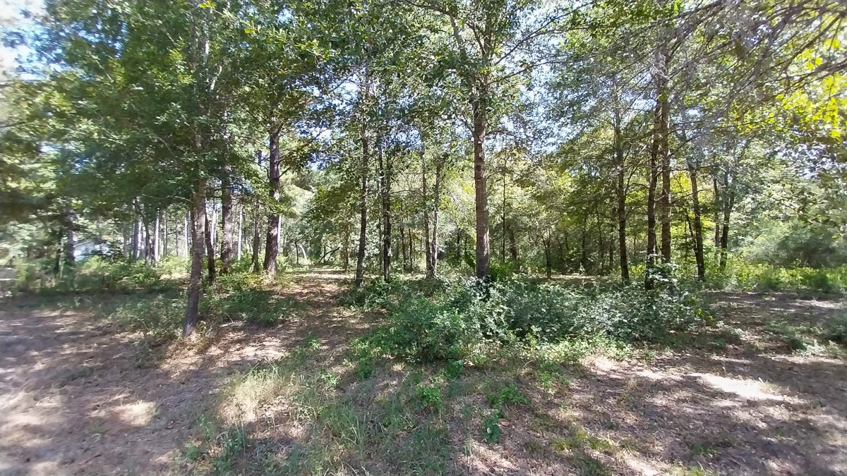 134 Cedar Ridge Huntsville, TX 77320 - Photo 19 of 24 Gallery Image 19