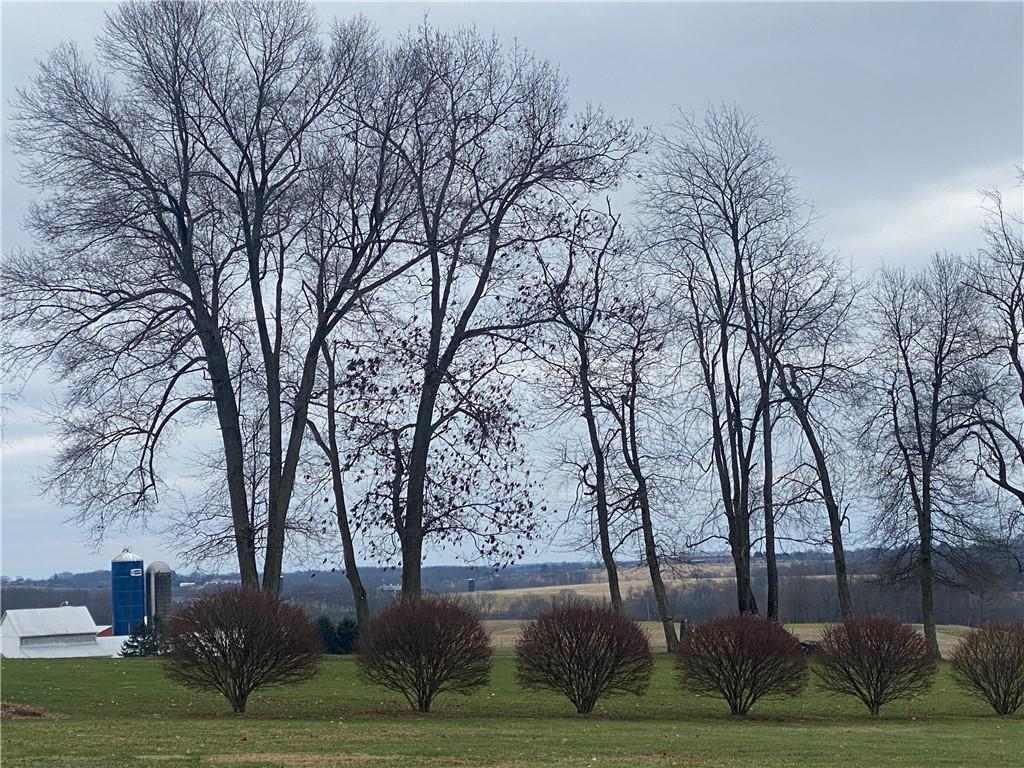 369 West Brewster Road Butler, PA 16001 - Photo 39 of 50 Gallery Image 39