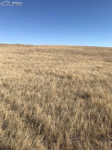 1234 Soap Weed Road Calhan, CO 80808 - Photo 7 of 18 Gallery Image 7