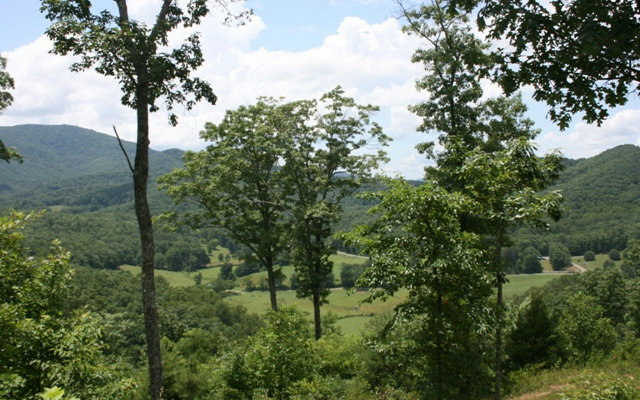 Spring View Drive Murphy, NC 28906 - Photo 1 of 1 Main View