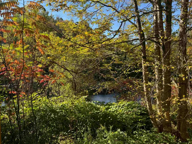 $400,000 | 1808 Route 100b Moretown Vt 05660, Moretown, VT 05660