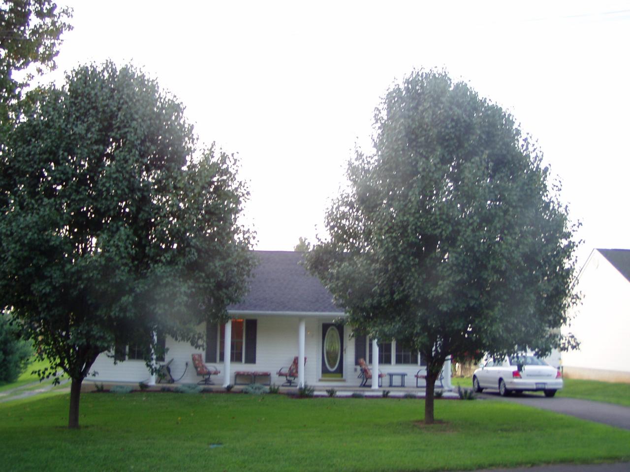 1122 Mountain View Road Vinton, VA 24179 - Photo 1 of 20 a front view of a house with garden