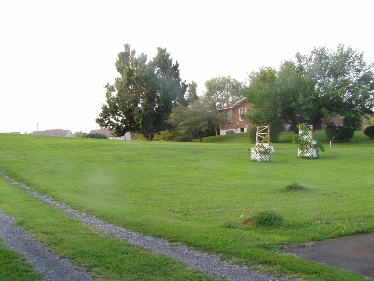 1122 Mountain View Road Vinton, VA 24179 - Photo 6 of 20 a view of a park with large trees