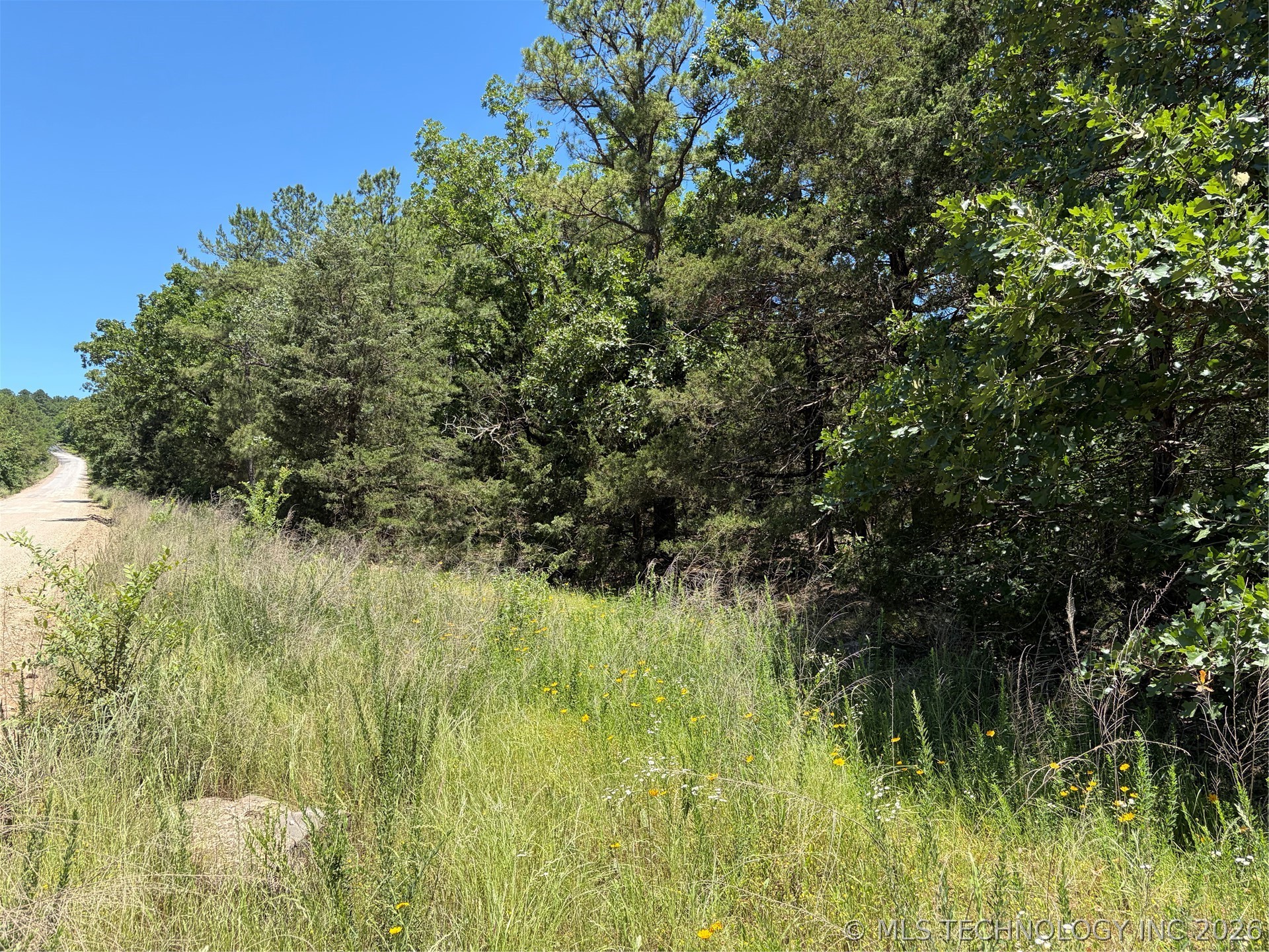 John's Valley Road Moyers, OK 74557 - Photo 8 of 17 Natural landscape featuring extensive tree coverage and a dirt road