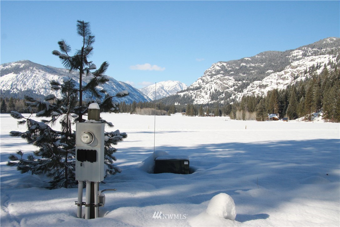 0 Lot 30 Last Chance Road Mazama, WA 98833 - Photo 2 of 25 Gallery Image 2
