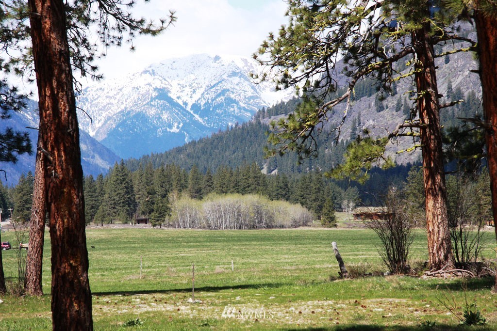 0 Lot 30 Last Chance Road Mazama, WA 98833 - Photo 11 of 25 Gallery Image 11