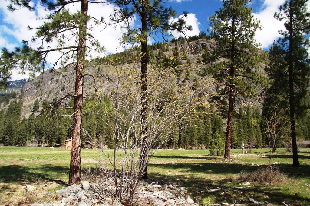 0 Lot 30 Last Chance Road Mazama, WA 98833 - Photo 13 of 25 Gallery Image 13