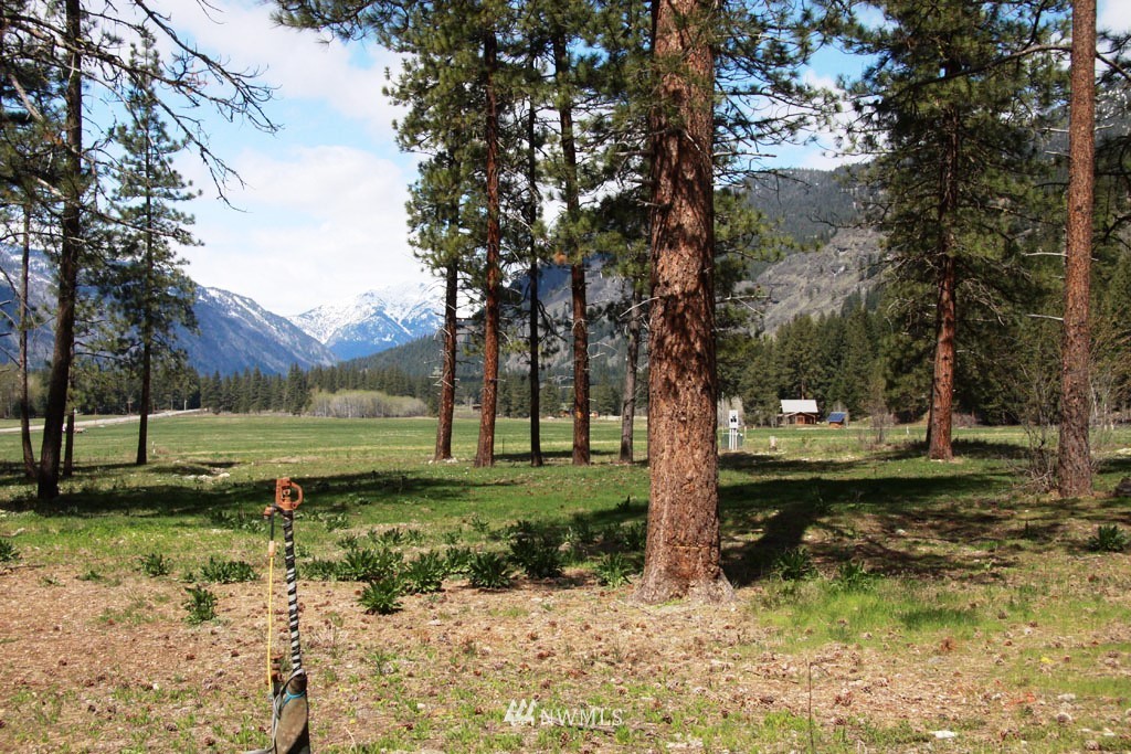 0 Lot 30 Last Chance Road Mazama, WA 98833 - Photo 14 of 25 Gallery Image 14