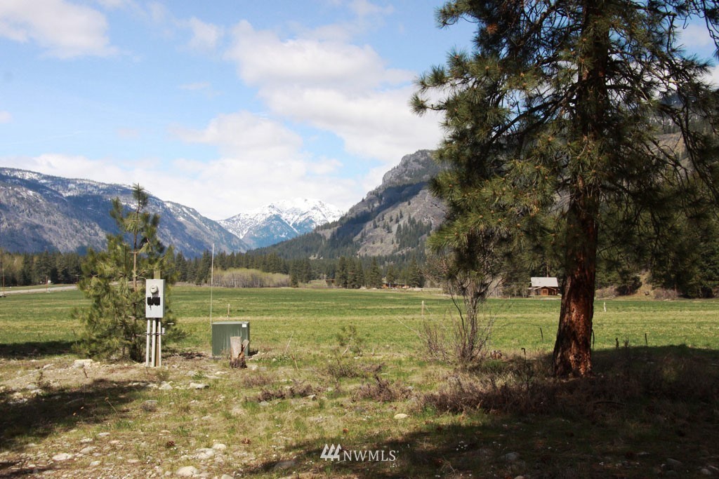 0 Lot 30 Last Chance Road Mazama, WA 98833 - Photo 15 of 25 Gallery Image 15