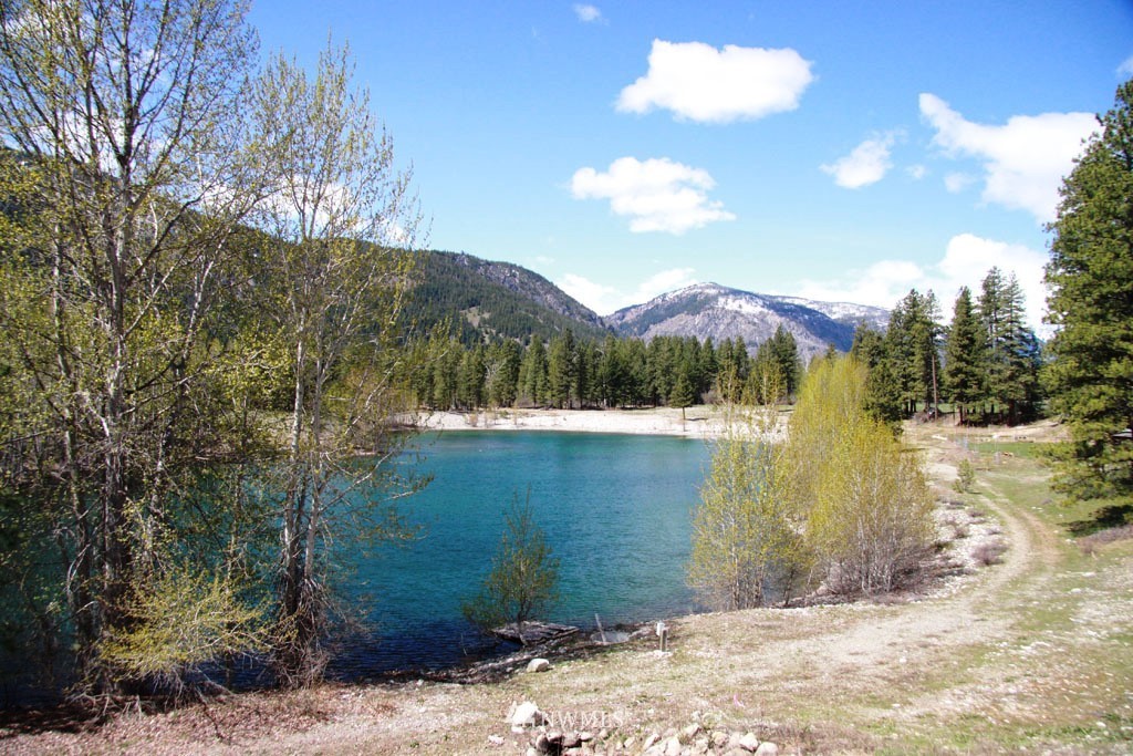 0 Lot 30 Last Chance Road Mazama, WA 98833 - Photo 16 of 25 Gallery Image 16
