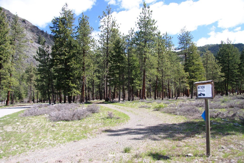 0 Lot 30 Last Chance Road Mazama, WA 98833 - Photo 17 of 25 Gallery Image 17