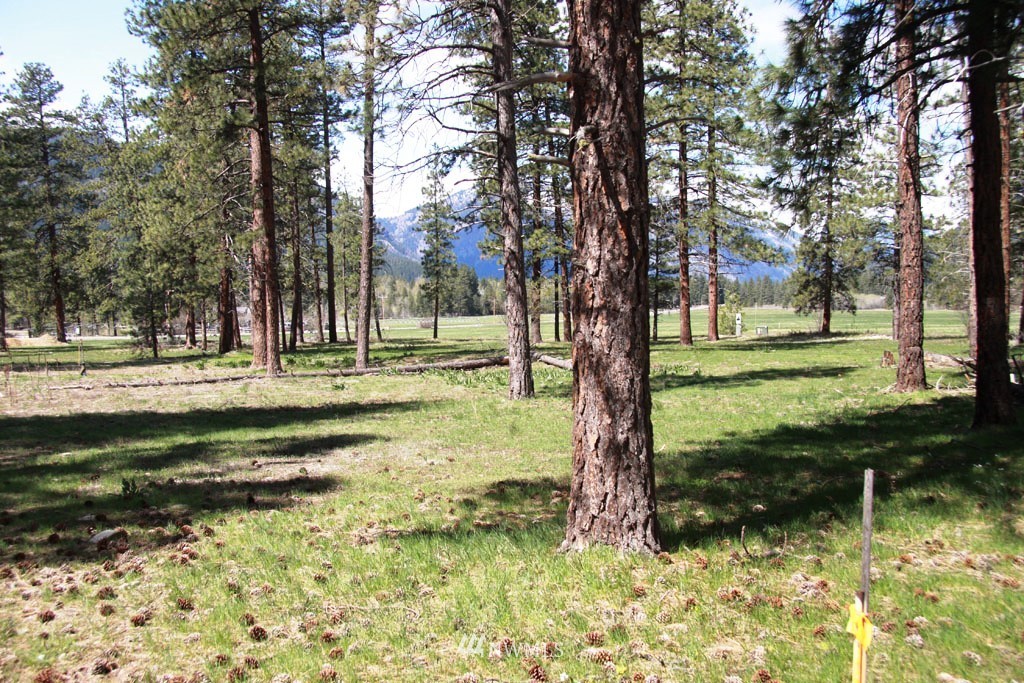 0 Lot 30 Last Chance Road Mazama, WA 98833 - Photo 20 of 25 Gallery Image 20