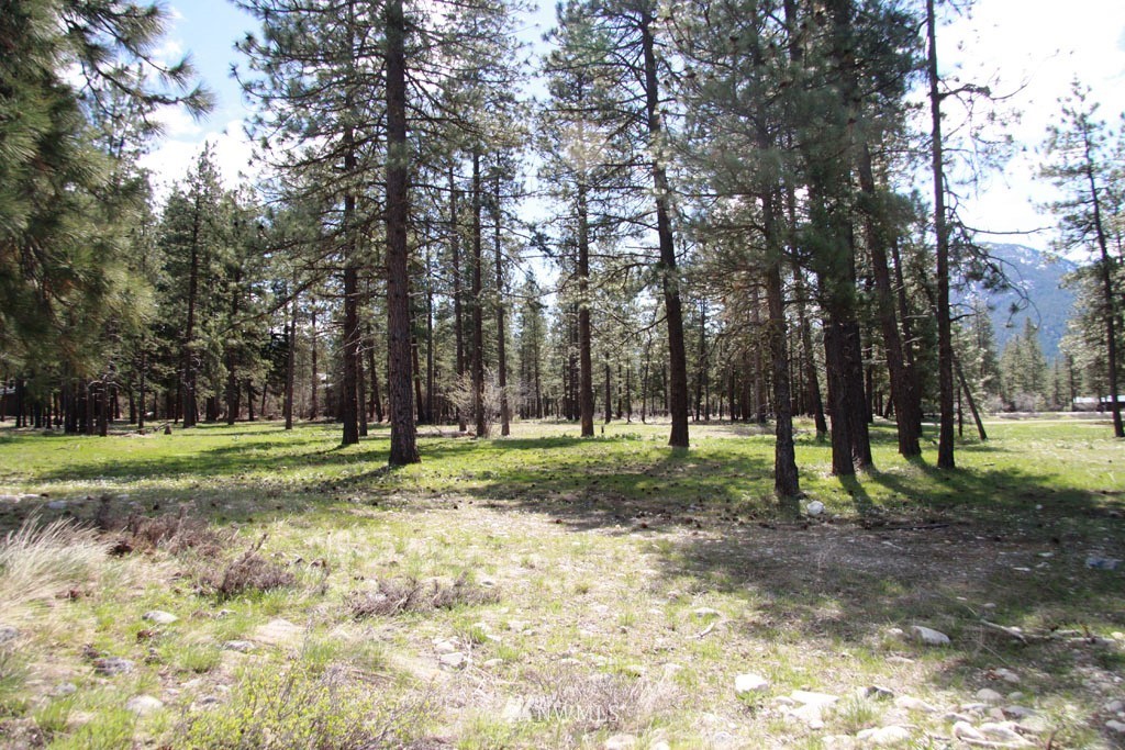 0 Lot 30 Last Chance Road Mazama, WA 98833 - Photo 23 of 25 Gallery Image 23