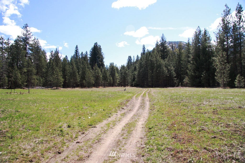 0 Lot 30 Last Chance Road Mazama, WA 98833 - Photo 24 of 25 Gallery Image 24