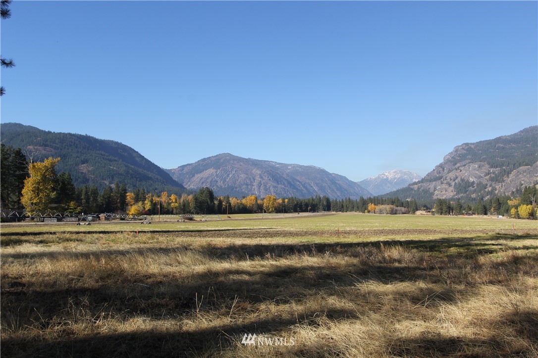 0 Lot 30 Last Chance Road Mazama, WA 98833 - Photo 4 of 25 Gallery Image 4