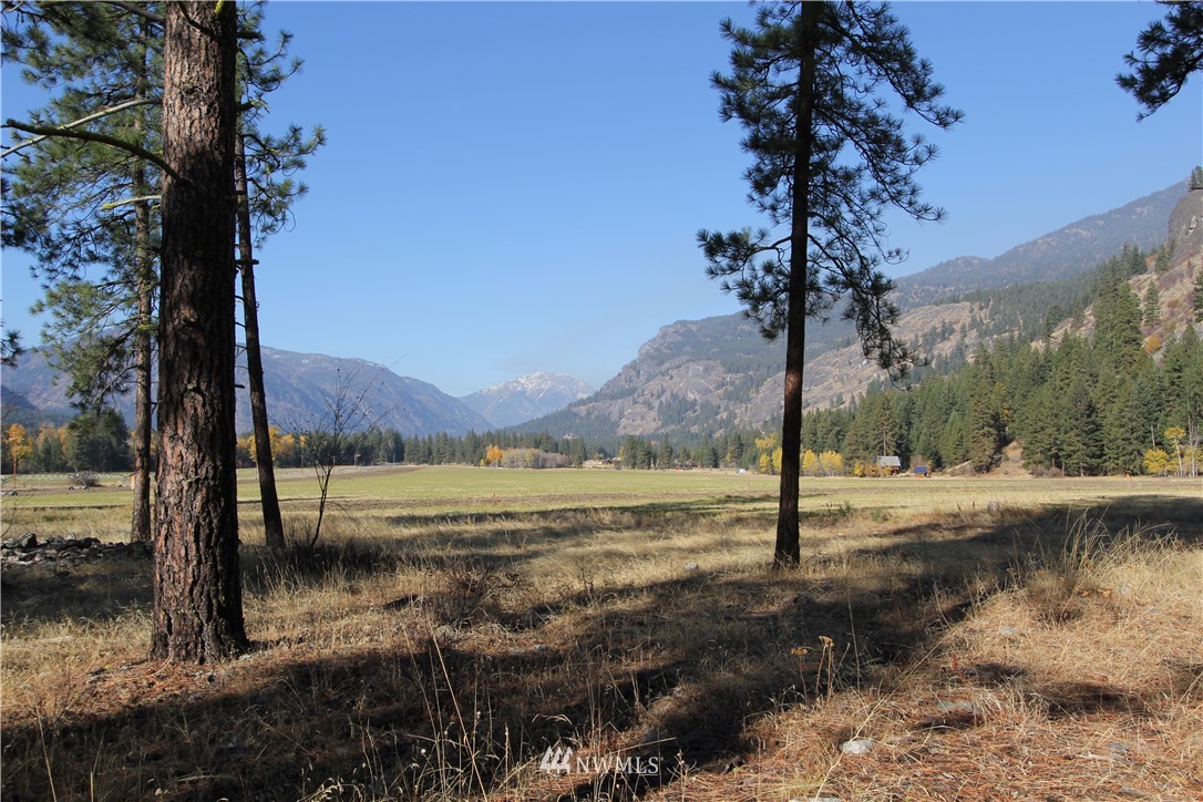 0 Lot 30 Last Chance Road Mazama, WA 98833 - Photo 5 of 25 Gallery Image 5