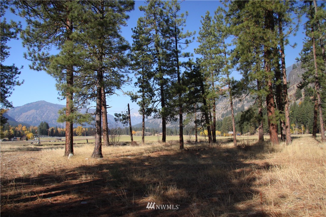 0 Lot 30 Last Chance Road Mazama, WA 98833 - Photo 6 of 25 Gallery Image 6