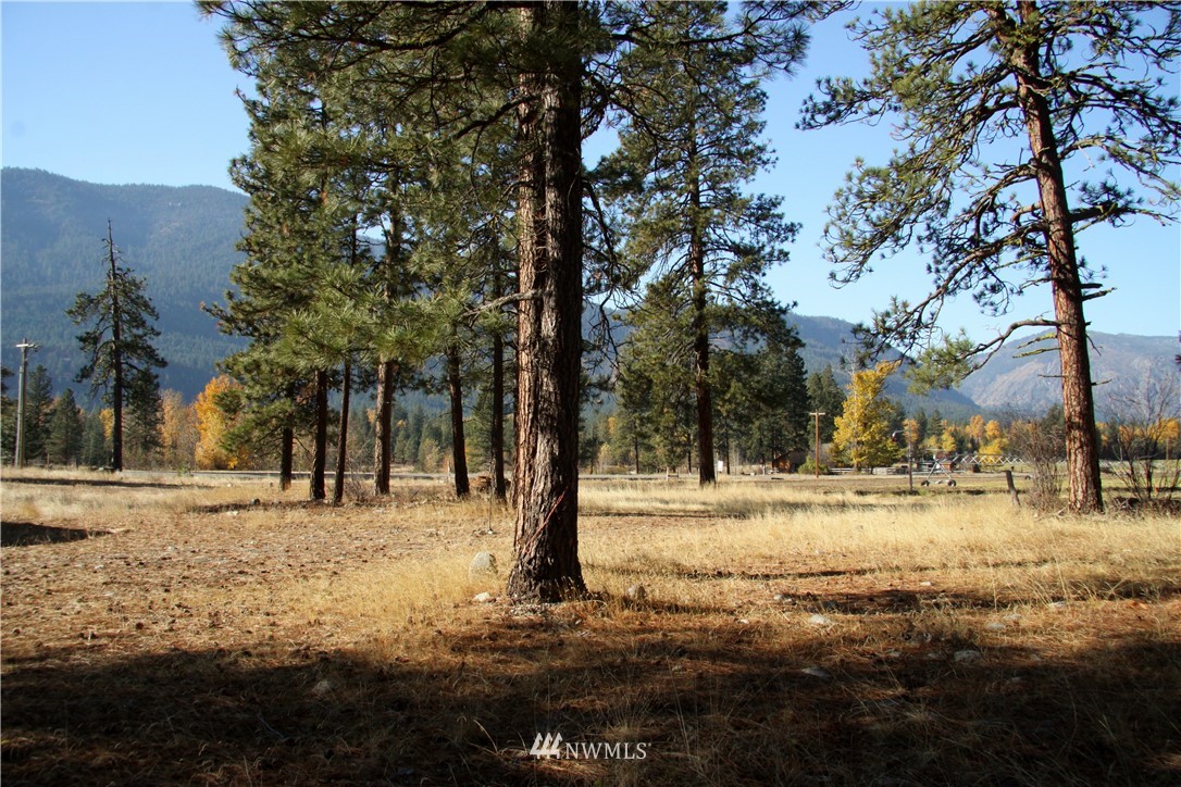 0 Lot 30 Last Chance Road Mazama, WA 98833 - Photo 7 of 25 Gallery Image 7