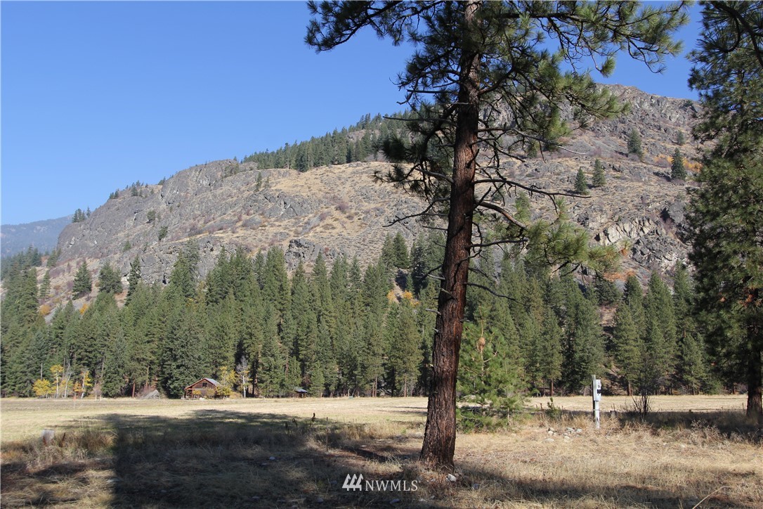 0 Lot 30 Last Chance Road Mazama, WA 98833 - Photo 8 of 25 Gallery Image 8